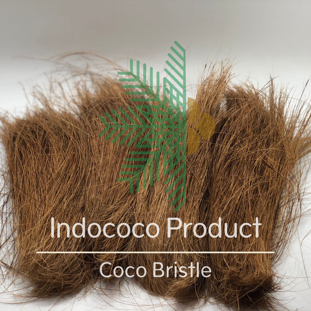 Coco Bristle Indonesia