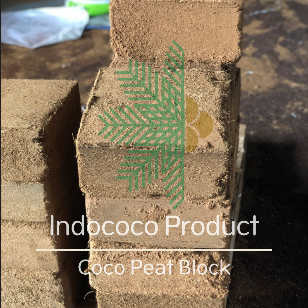 Coco peat block Indonesia