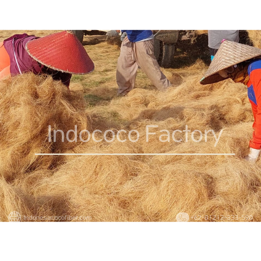 Coir Fiber Indonesia For Export