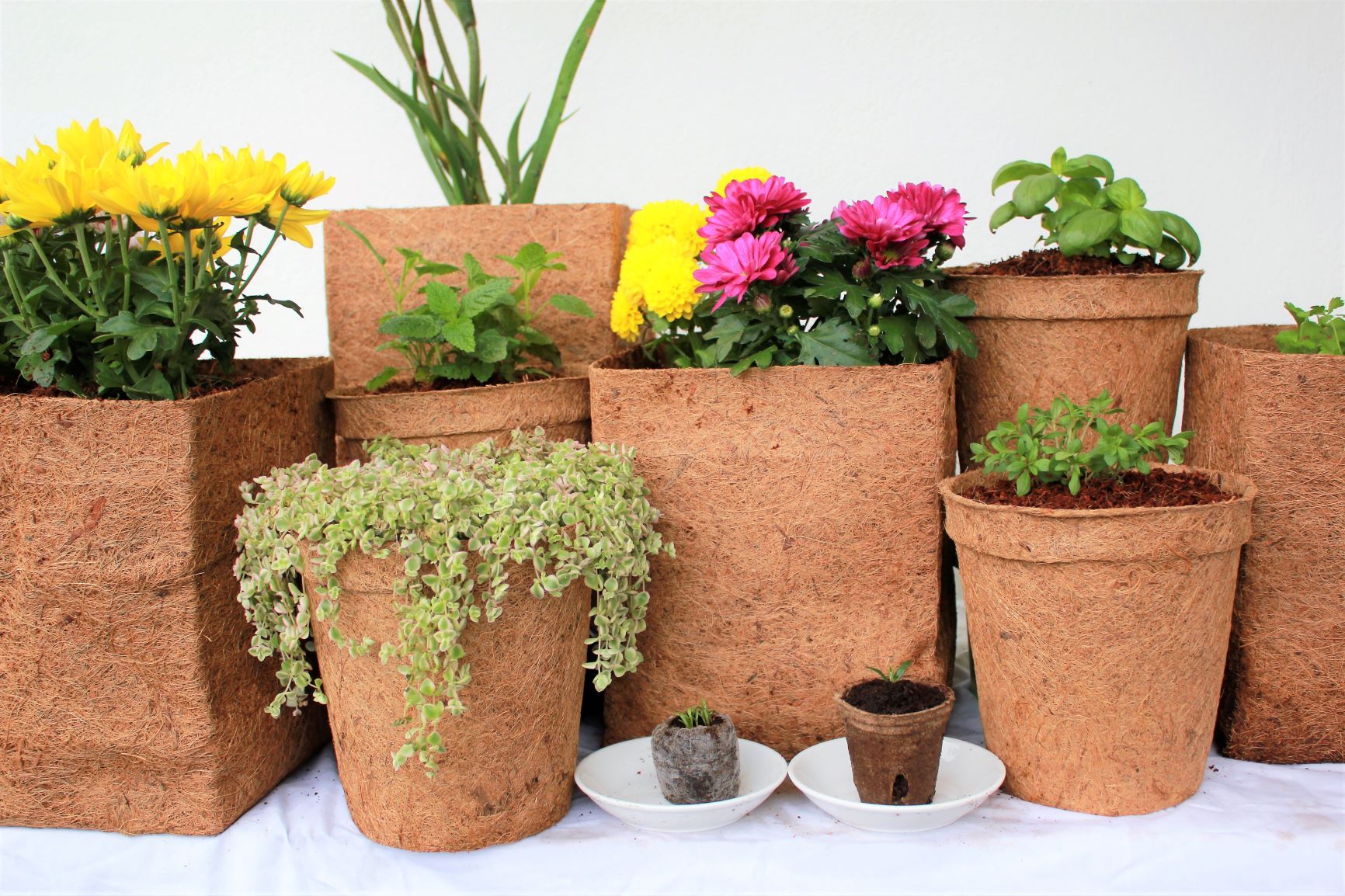 The Benefits Of Coconut Fiber Planter - Indonesia Coco Fiber and Coco ...