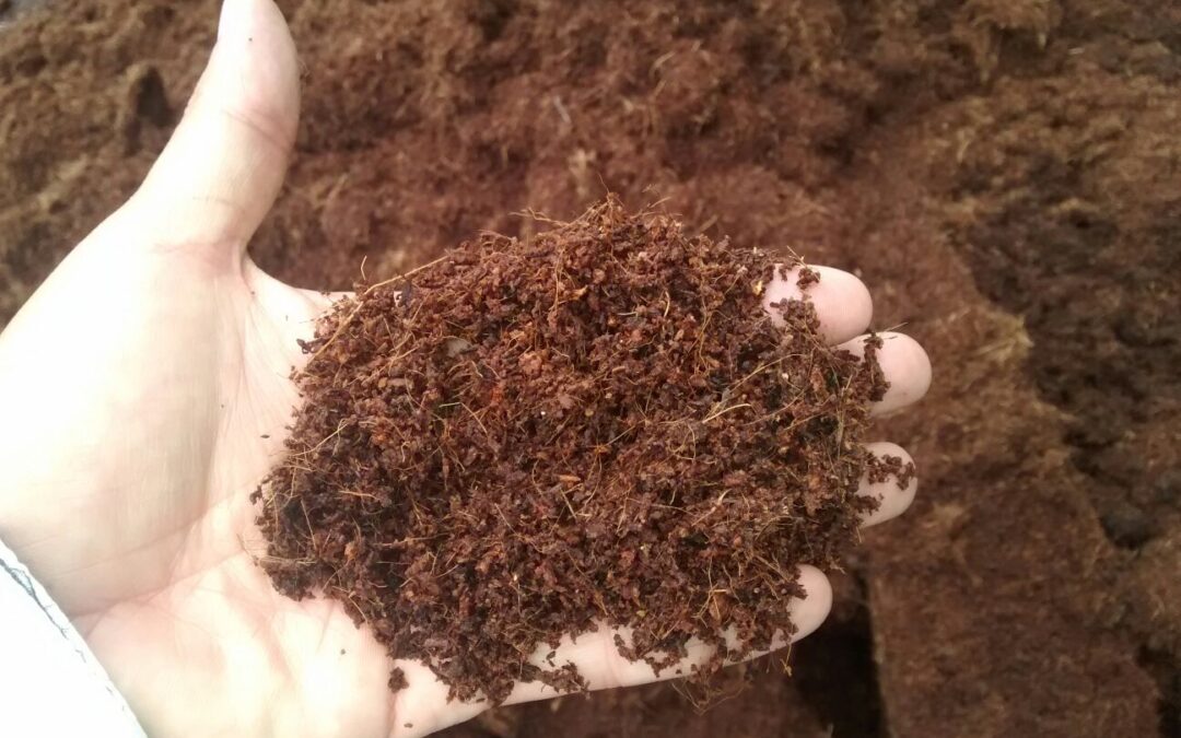 Coconut Fiber Soil