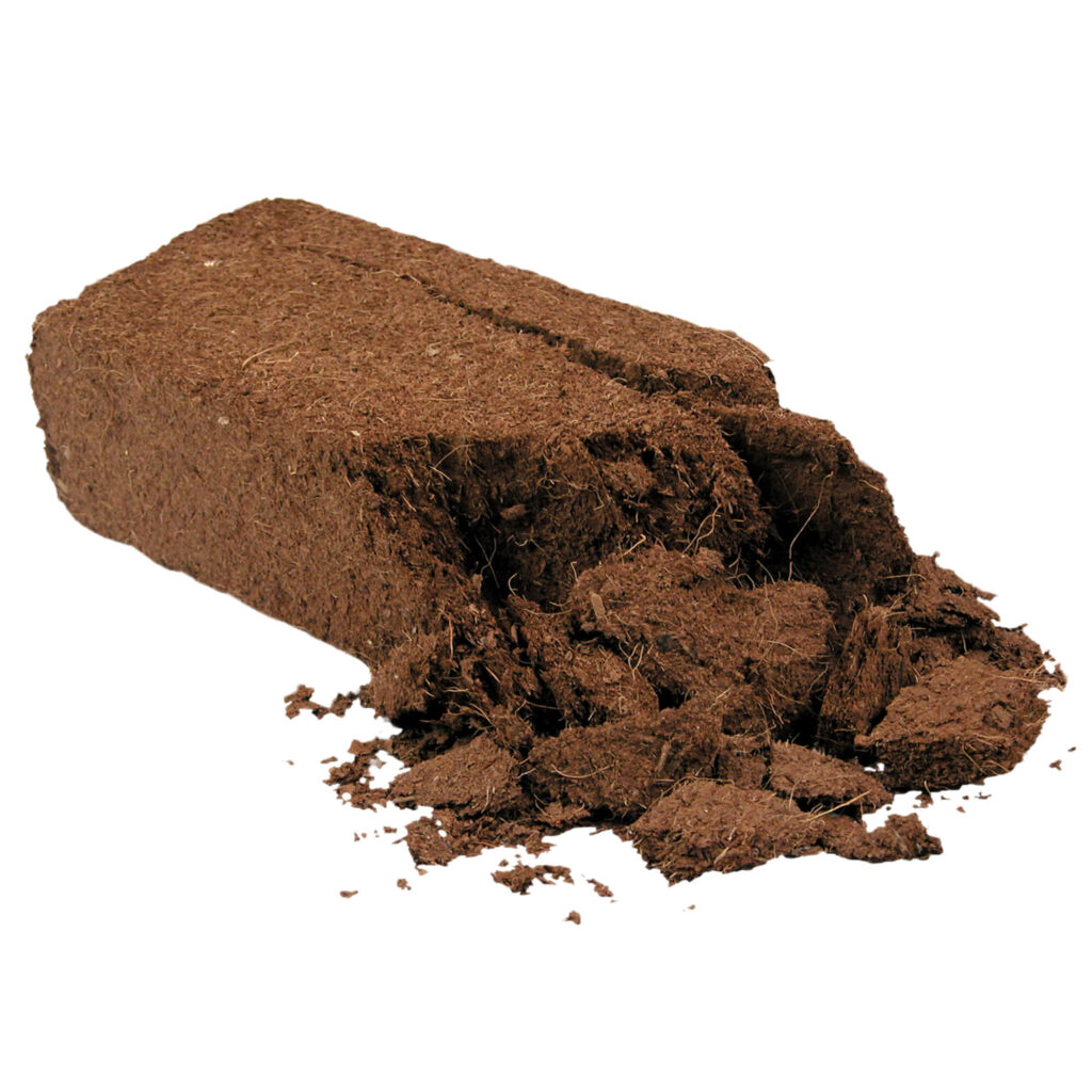Why Choose Coco Peat Block and How to Use It Properly? Indonesia Coco Fiber and Coco Peat