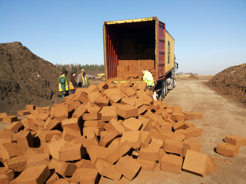 coco peat brick