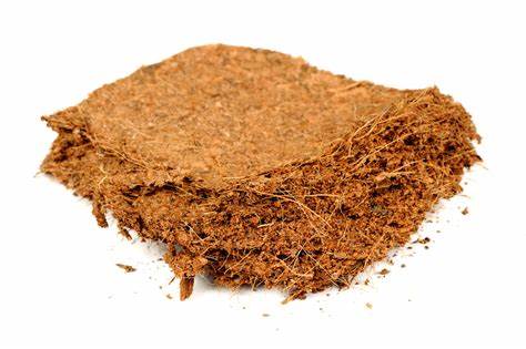 How to Mix Coco Peat with Soil