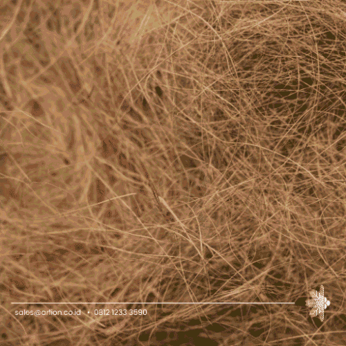 Coco Fiber INDOCOCO Factory Coco Fiber INDOCOCO Factory