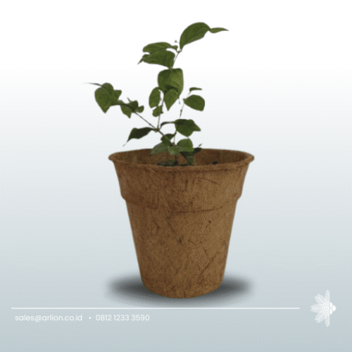 Coco Pot - Coconut Pot Press