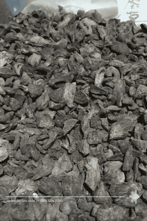 Palm Shells - INDOCOCO