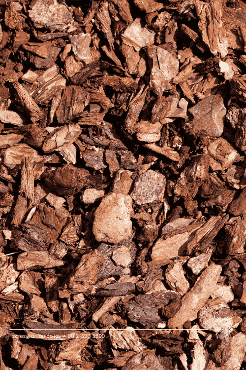 Pine Bark - INDOCOCO Pine Bark - INDOCOCO
