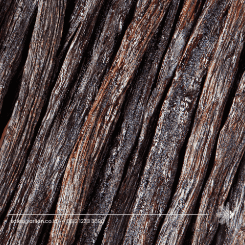 Vanilla Indonesia - Supplier