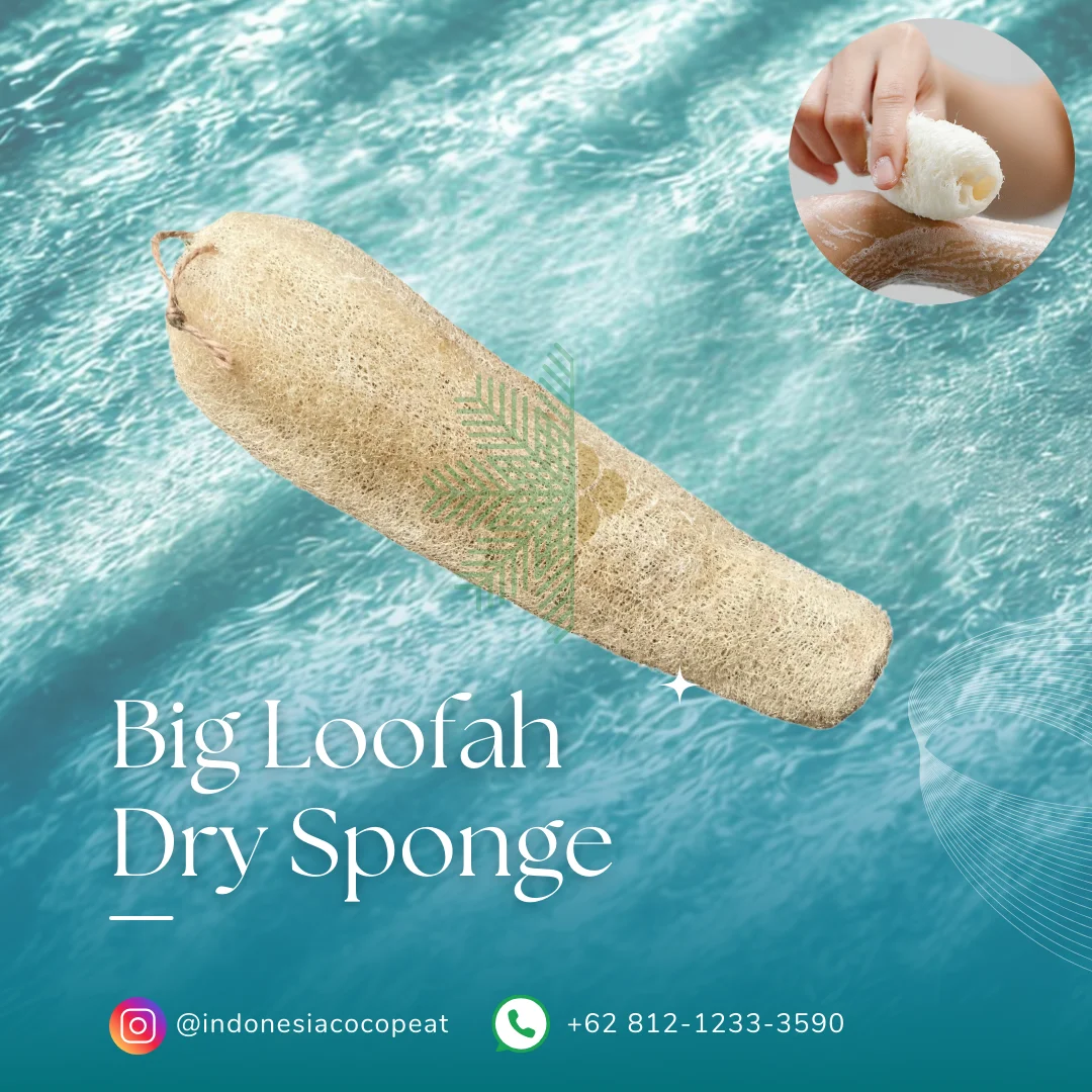 bath sponge to remove dead skin