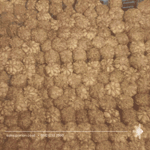 Coir Log Factory Indonesia