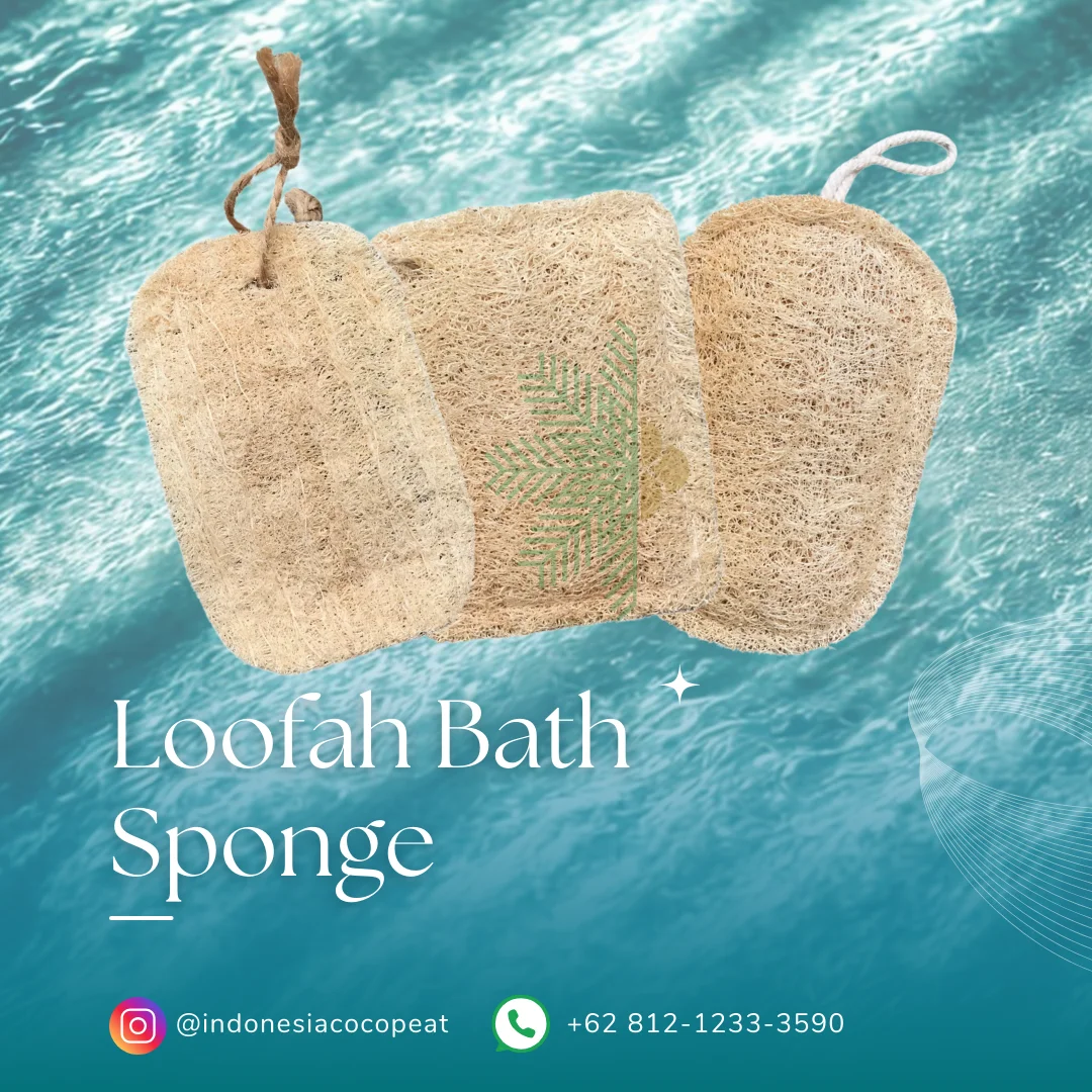 bath sponge images