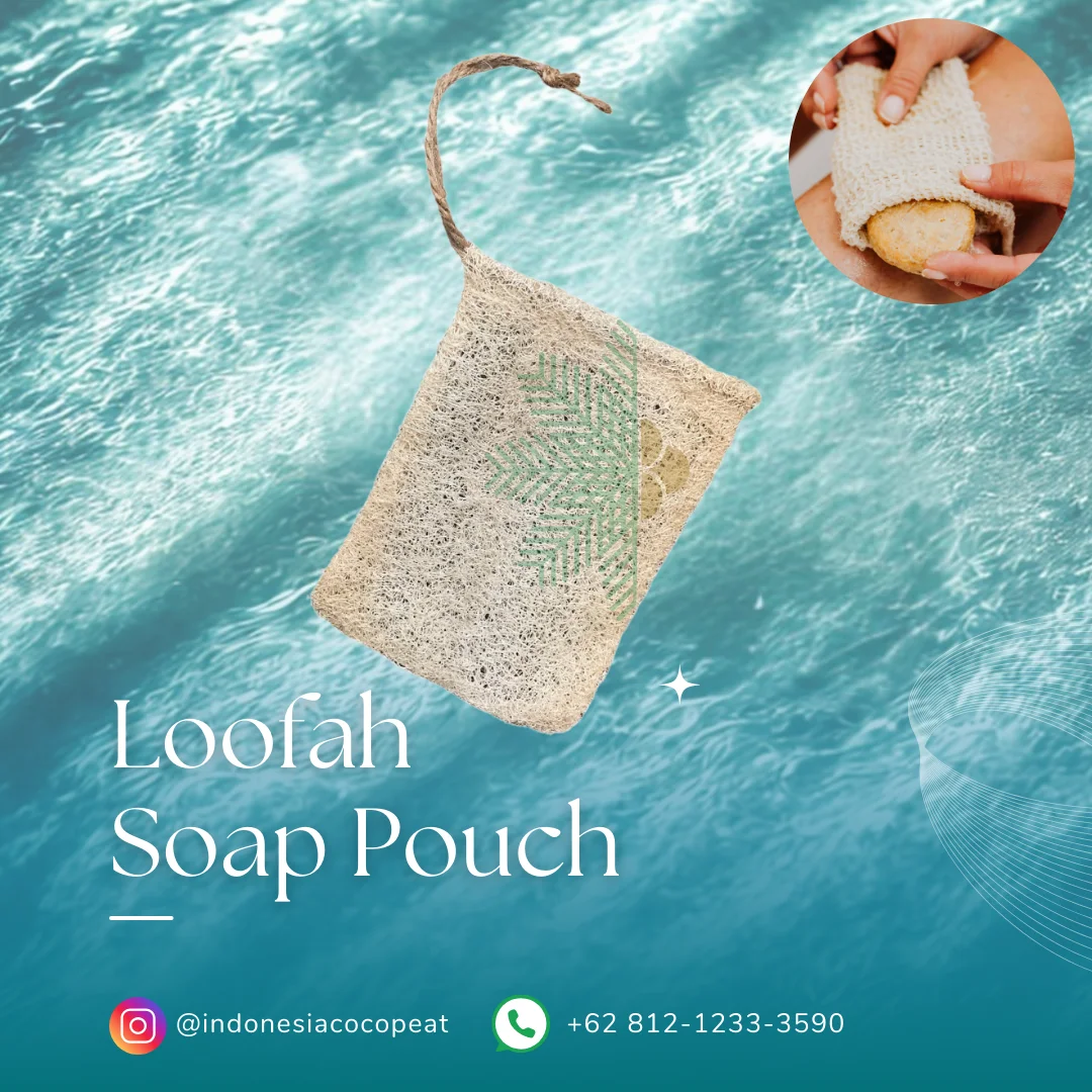 loofah sponge holder