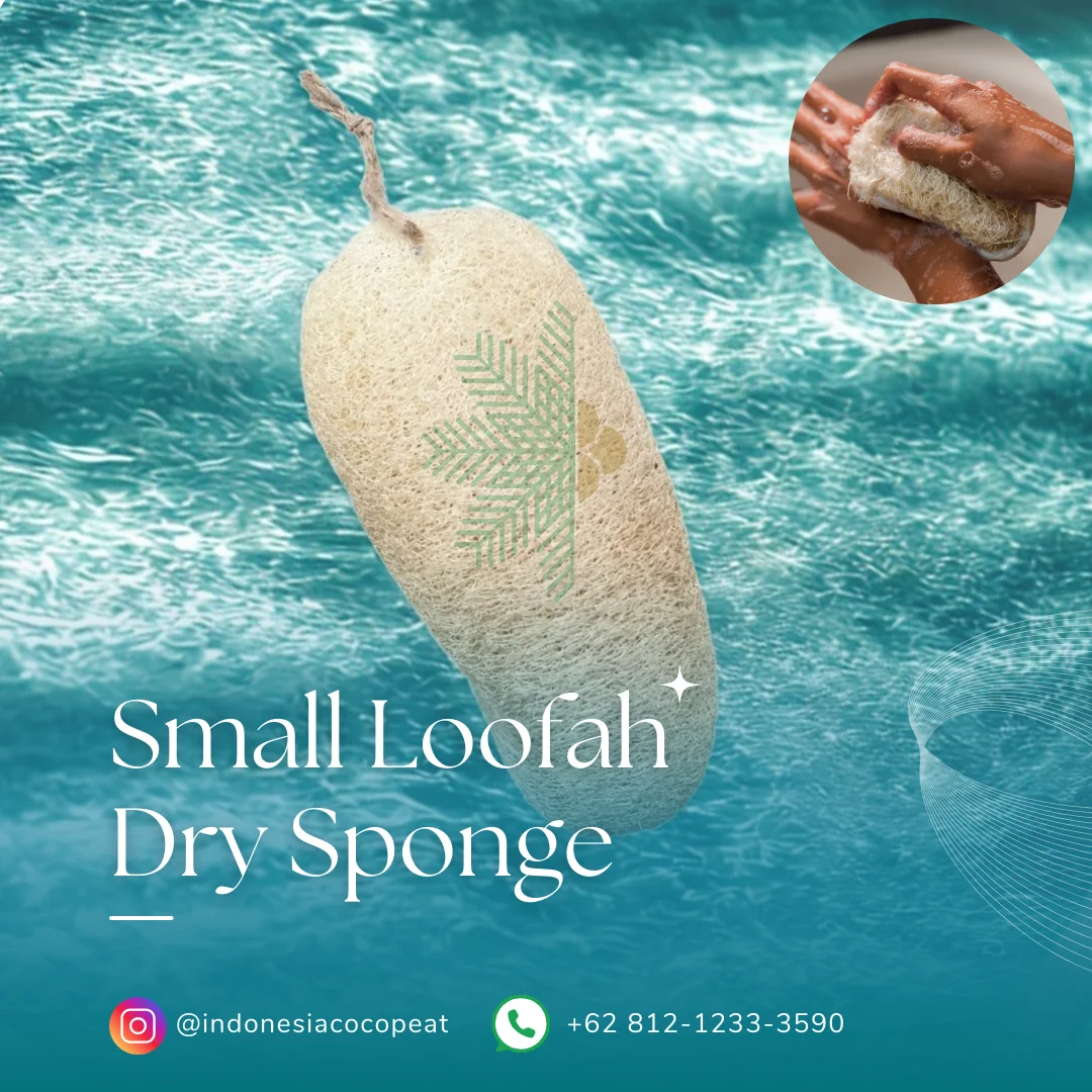 loofah sponge rubber