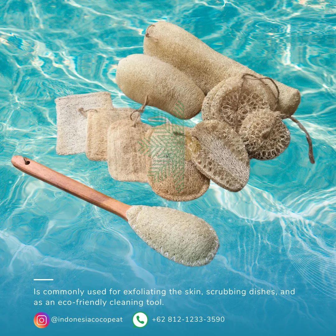 loofah sponge bath