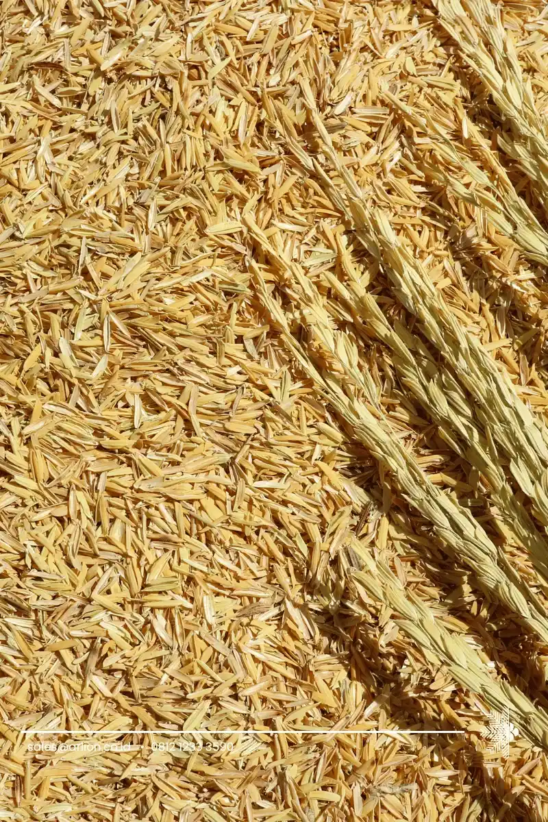 Indonesian Rice Husk Exporter | Sustainable Biomass Material