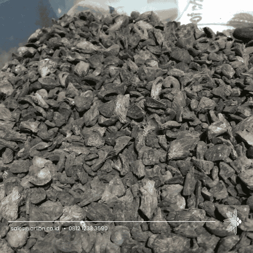 Palm Shells