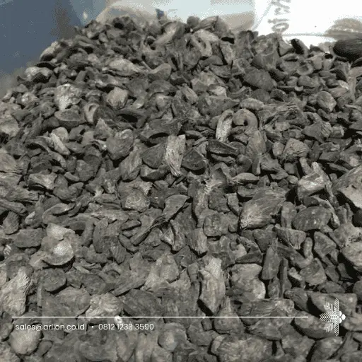 Palm Shells: A Renewable Biomass Resource for Sustainable Industries