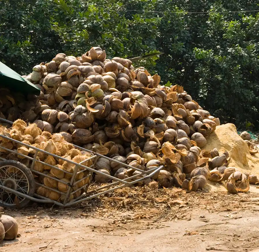coconut fiber growing medium