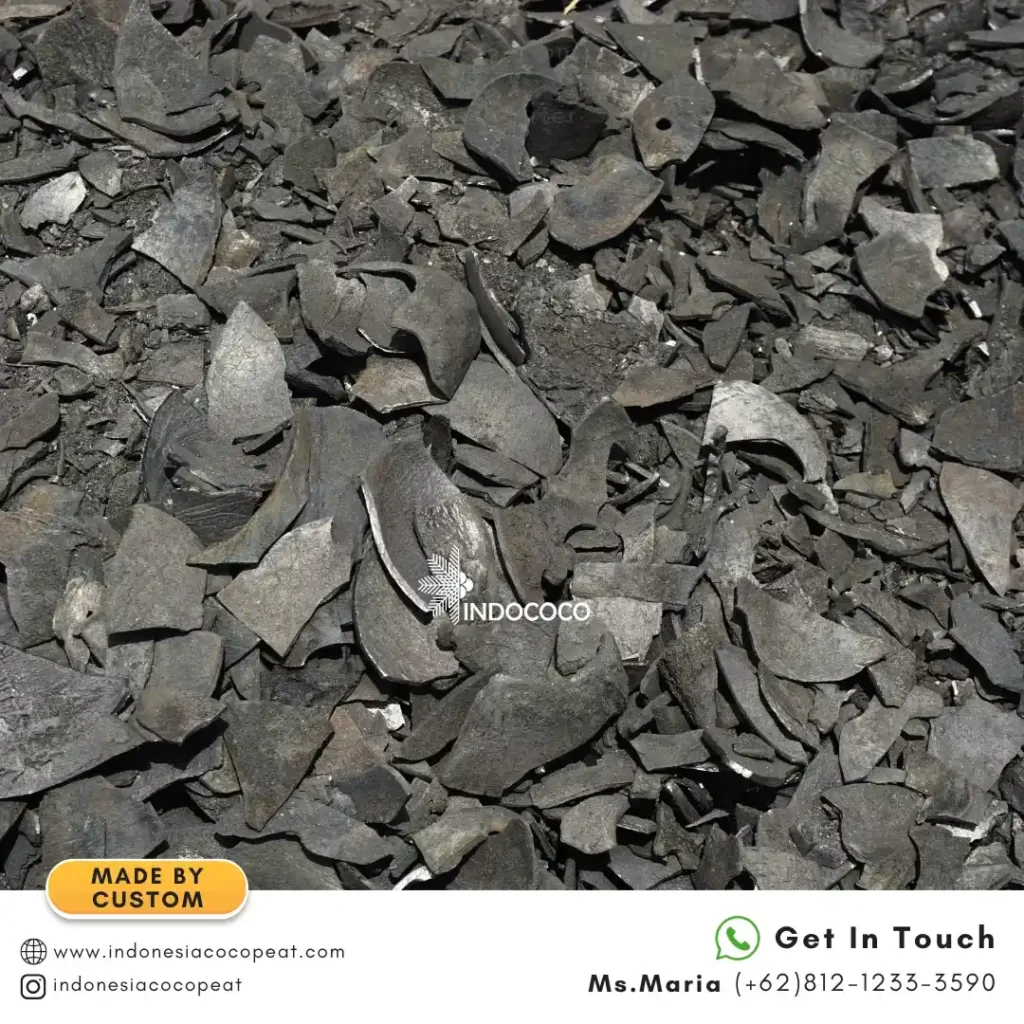 Palm Shells