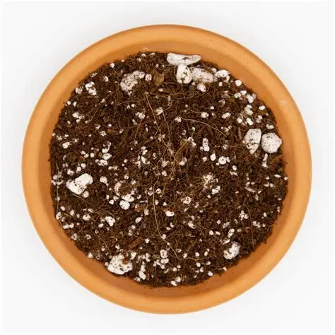 coco perlite